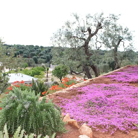 Feudi Mandolivo Bed and breakfast Ostuni