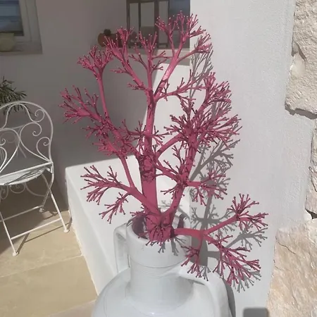 Oda ve Kahvaltı Feudi Mandolivo